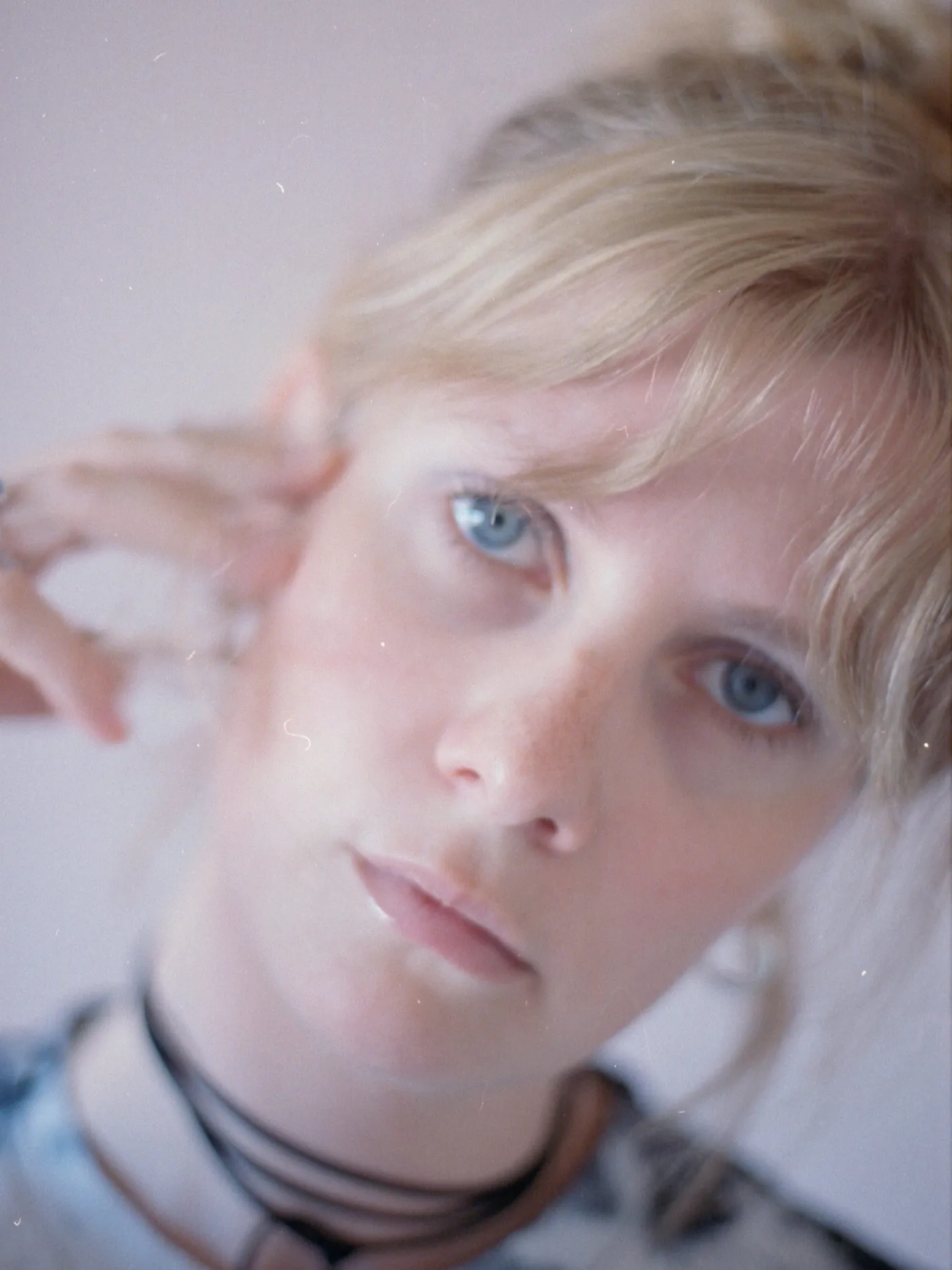 Stella Darla // Dupont billede 1