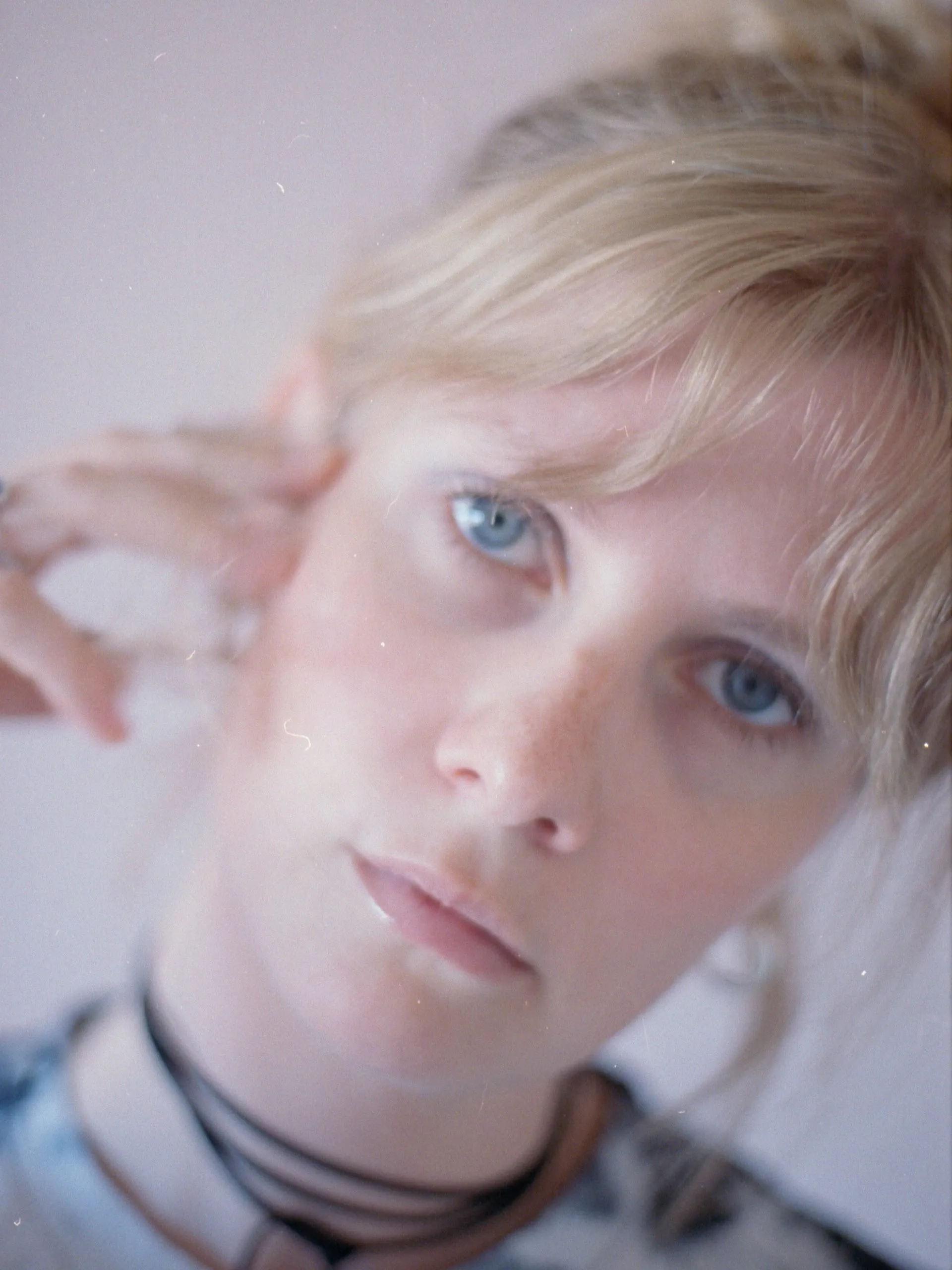 Stella Darla // Dupont